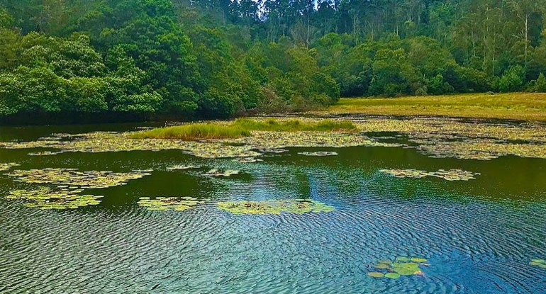 muthu tourism, trending destination in south india, Berijam Lake